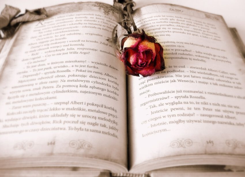 Róża na otwartej książce